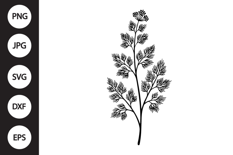 Dill Herb SVG