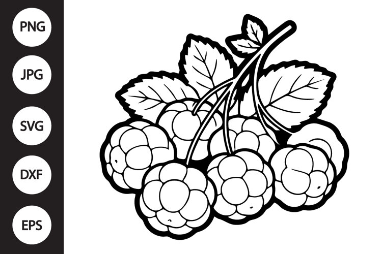 Cloudberry SVG example image 1