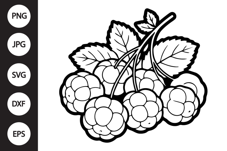 Cloudberry SVG