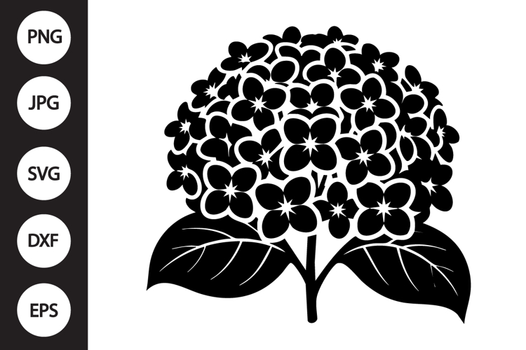Hydrangea Clipart Image 3