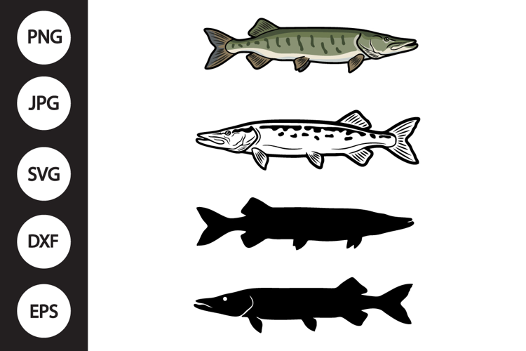 Muskellunge Fish SVG, Muskellunge Fish Clipart