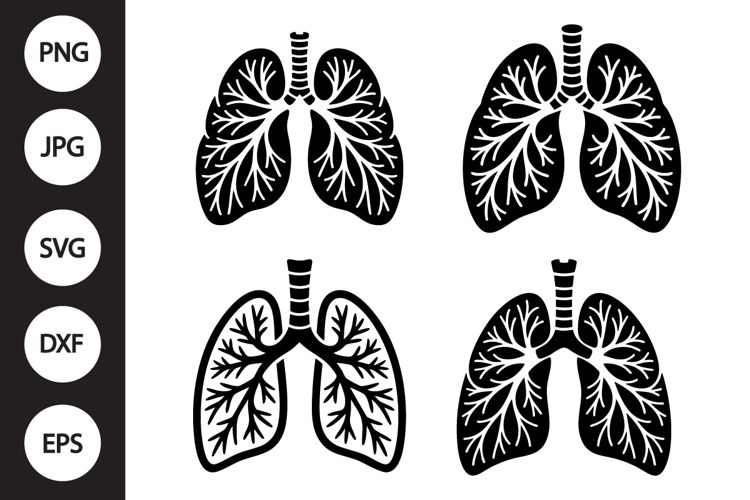 Lungs Clipart