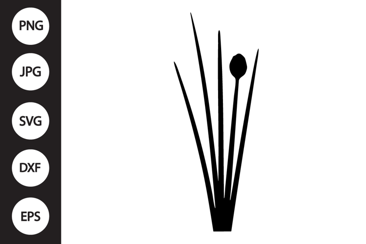 Chives SVG
