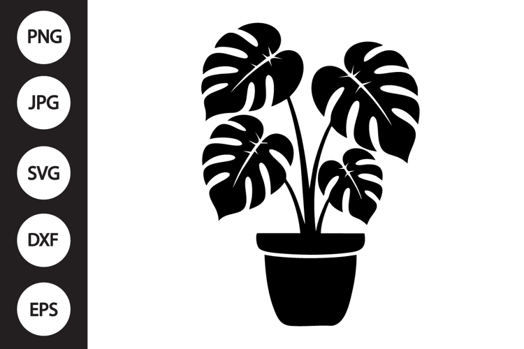 Monstera Silhouette Image 17