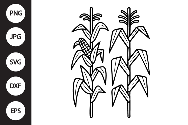 Corn Stalks SVG
