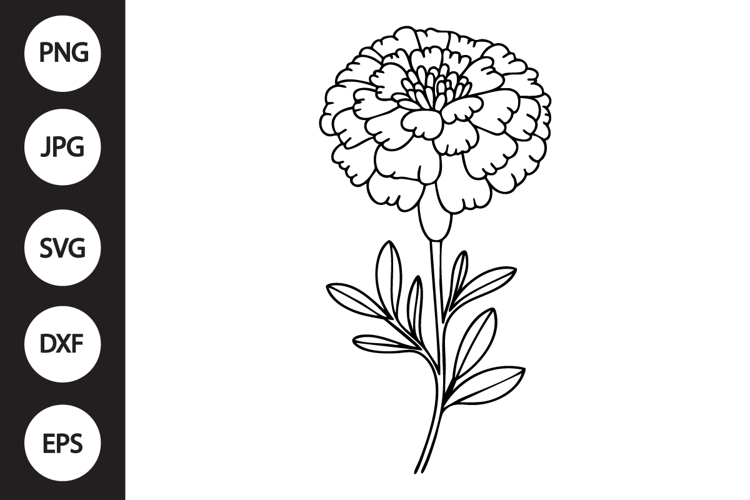 Marigold Clipart Image 6