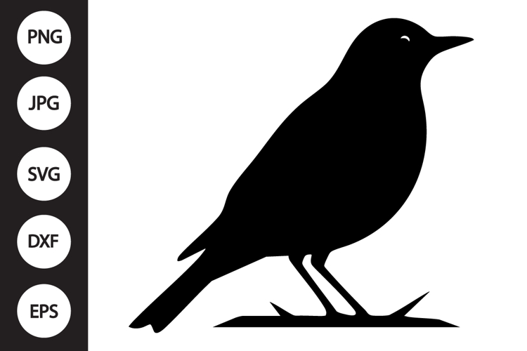 Robin Clipart Image 19