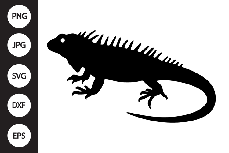 Iguana Clipart Image 4