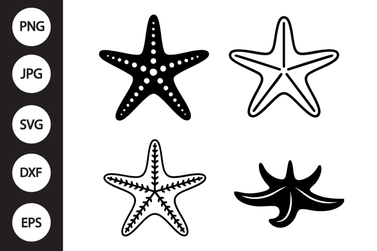 Starfish Clipart Image 3
