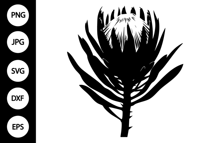 Flower Silhouette Image 4