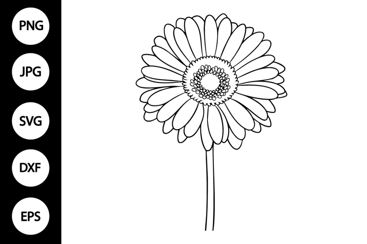 Flower Clipart Black And White Image 4