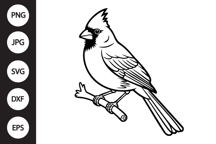 Cardinal Outline SVG, Coloring Page
