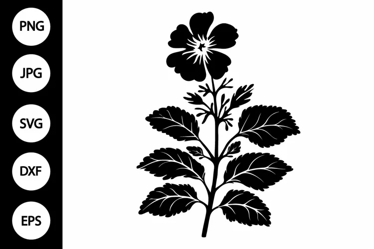Silhouette African Violet SVG
