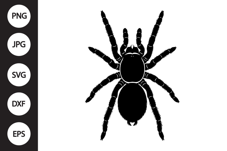 Tarantula SVG