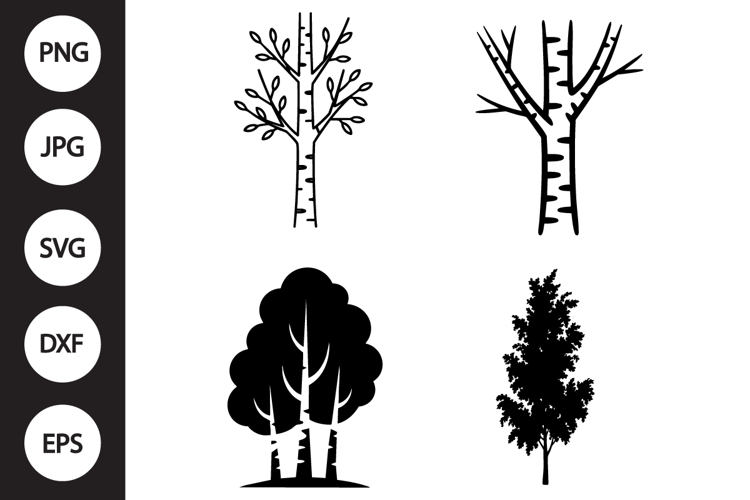 Birch Tree SVG, Birch Tree Clipart