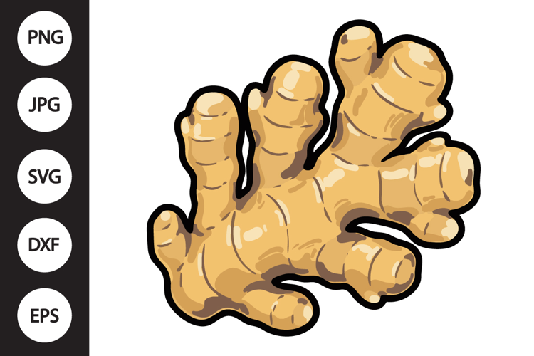 Ginger SVG