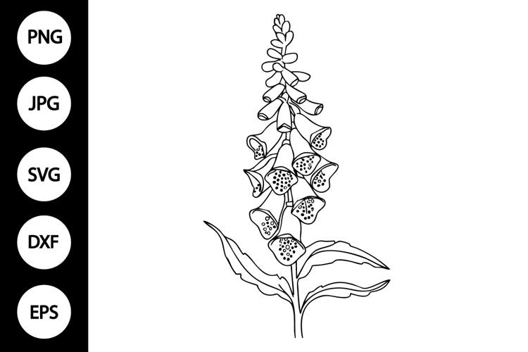 Flower Clipart Black And White Image 13