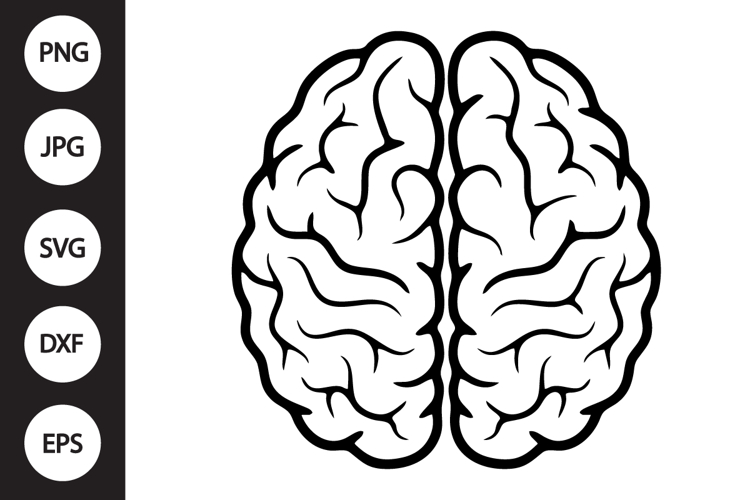Human Brain SVG