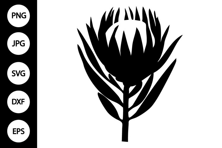 Flower Silhouette Image 6