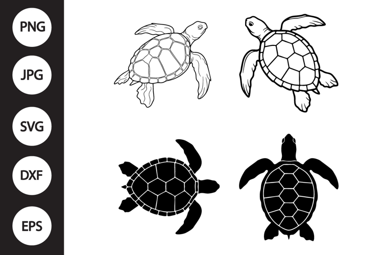 Turtle Clipart Image 13