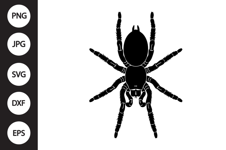 Tarantula SVG