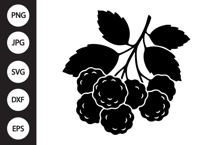 Cloudberry SVG example image 1