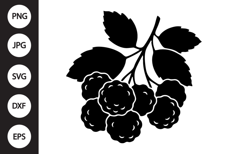 Cloudberry SVG