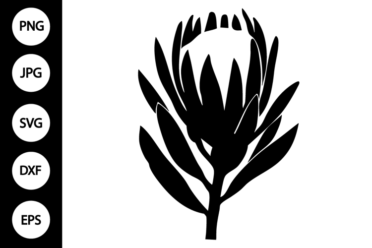 Flower Silhouette Image 2