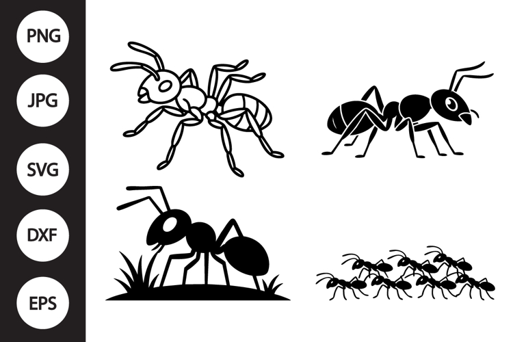 Ant Clipart