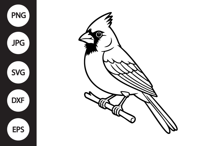 Cardinal Outline SVG, Coloring Page
