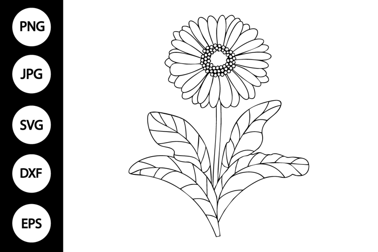 Flower Clipart Black And White Image 2