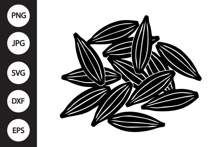 Fennel Seeds SVG