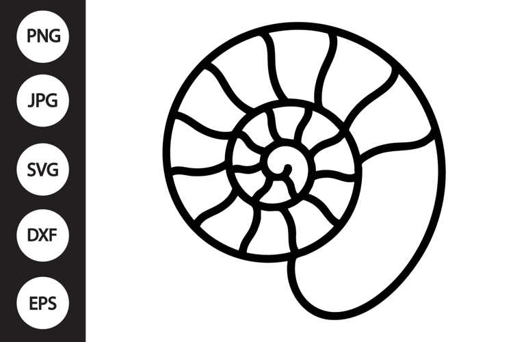 Sea Shell Clipart Image 4