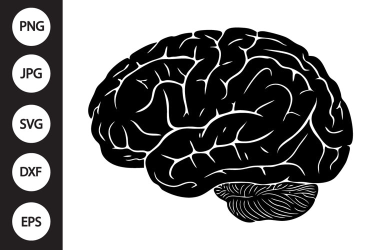Human Brain SVG example image 1