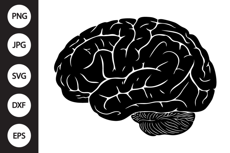Human Brain SVG