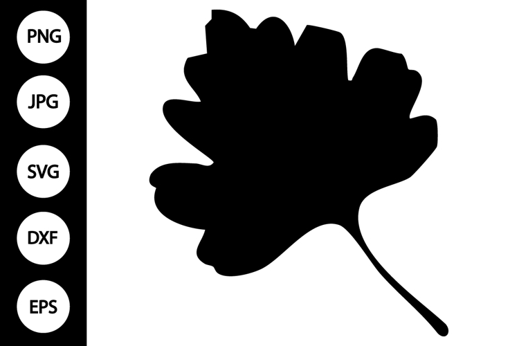Leaf Silhouette Image 17