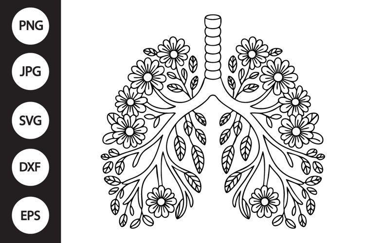 Lungs Clipart Image 18