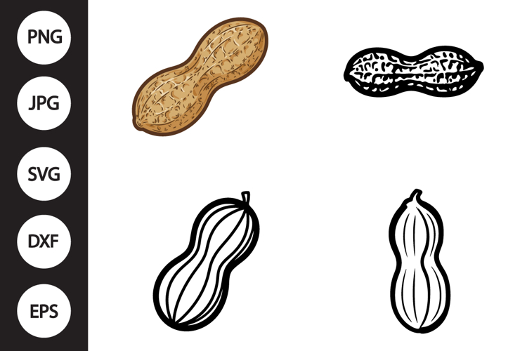 Peanut SVG, Peanut Clipart example image 1