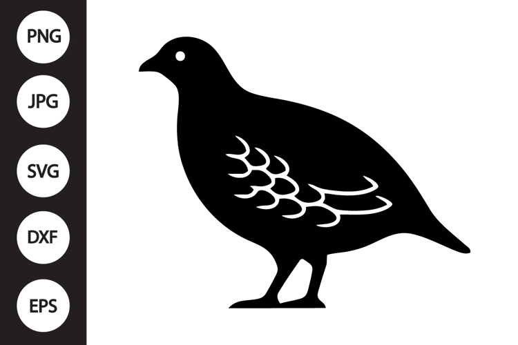 Partridge Bird SVG