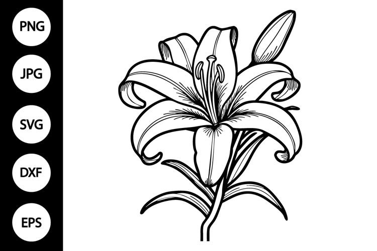 Black And White Svg Image 17