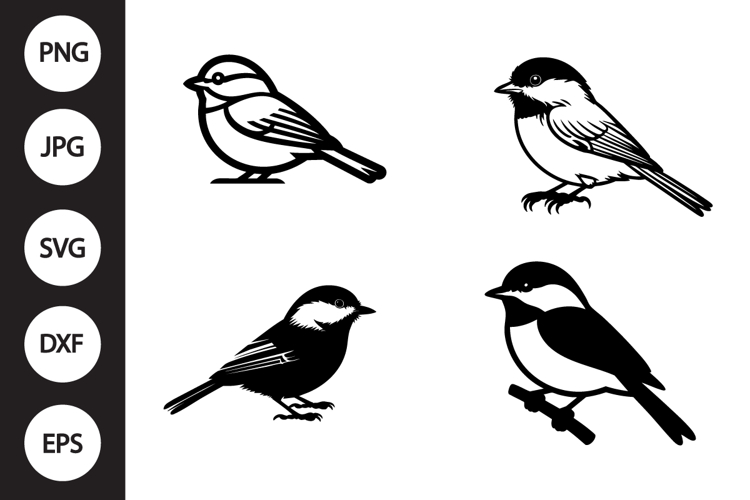 Bird Vector Image 3
