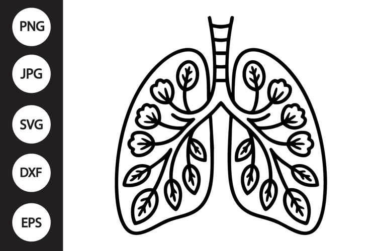 Lungs Clipart Image 9
