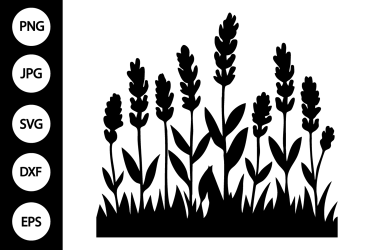 Silhouette Lavender SVG
