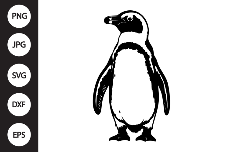 African Penguin SVG