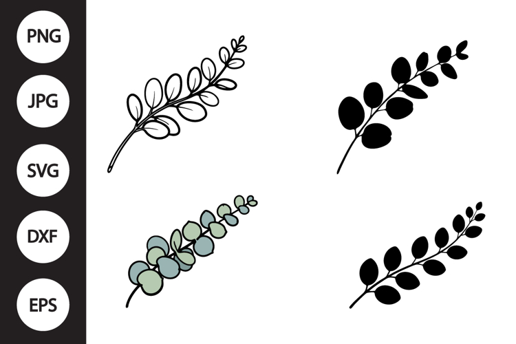 Eucalyptus Branch SVG, Eucalyptus Branch Clipart