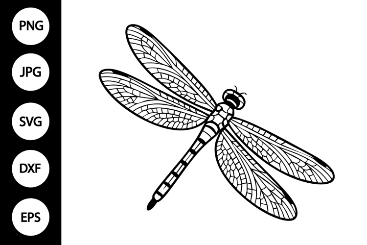 Dragonfly Outline Image 4