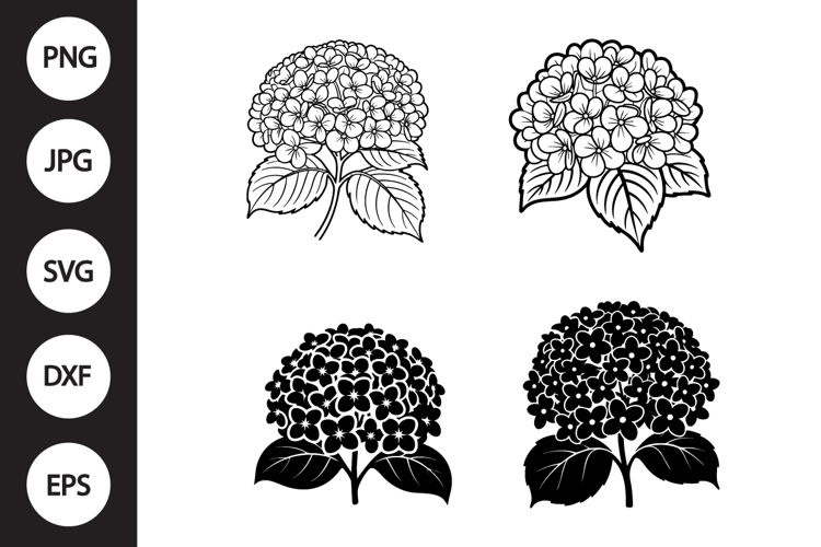 Hydrangea Clipart Image 4