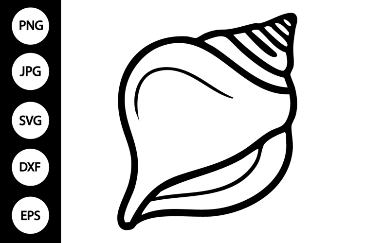 Seashell Outline SVG