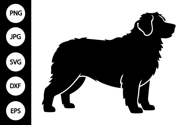 Bernese Clipart Image 14