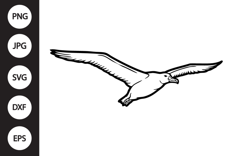 Albatross Bird SVG